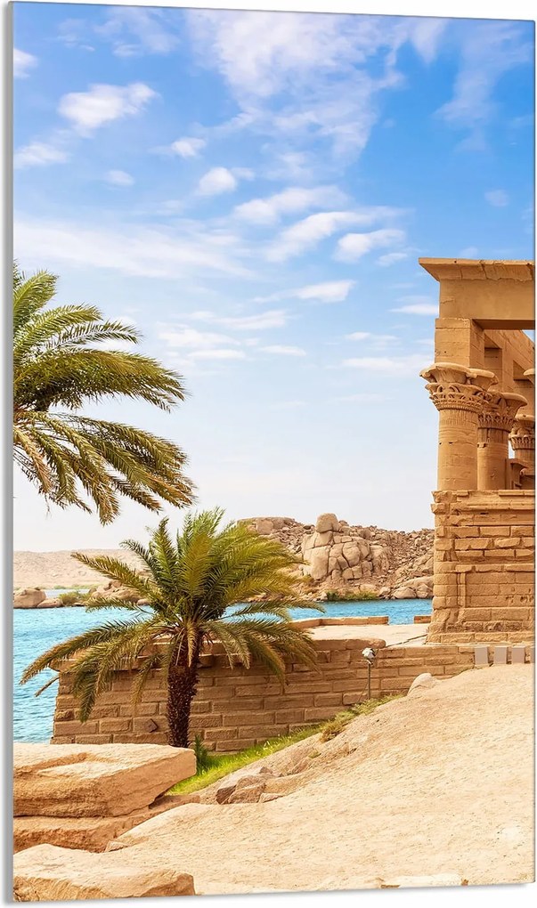 Üveg Vágódeszka 30x52 Pálmafák a Konyhába