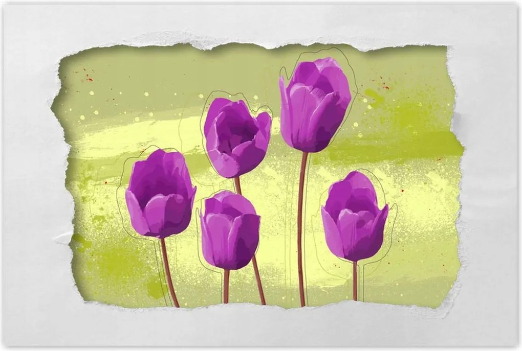 Poszterek 60x40 Pipacsok Modern grafika