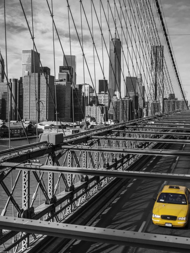 Poszter 30x40cm Taxi a Brooklyn hídon, Assaf Frank