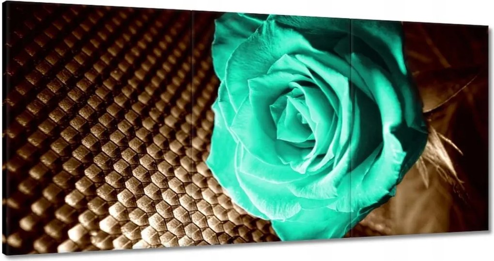 Vászonkép 180x90 Türkiz rózsa szépia