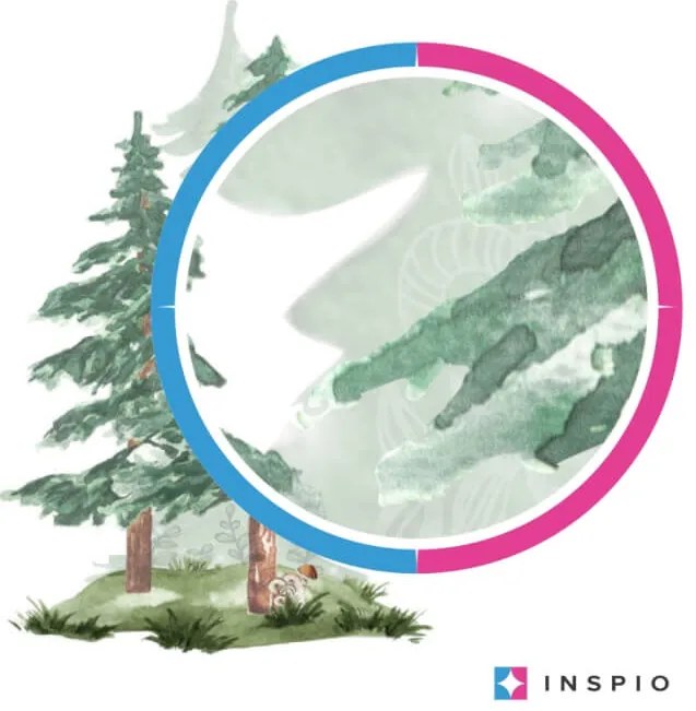 INSPIO Akvarell falmatrica - Tűlevelű fák