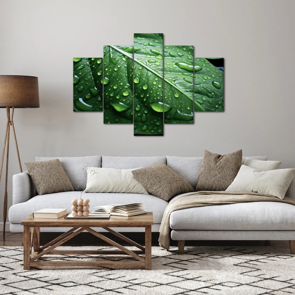 Kép - Részlet levél eső után (150x105 cm)