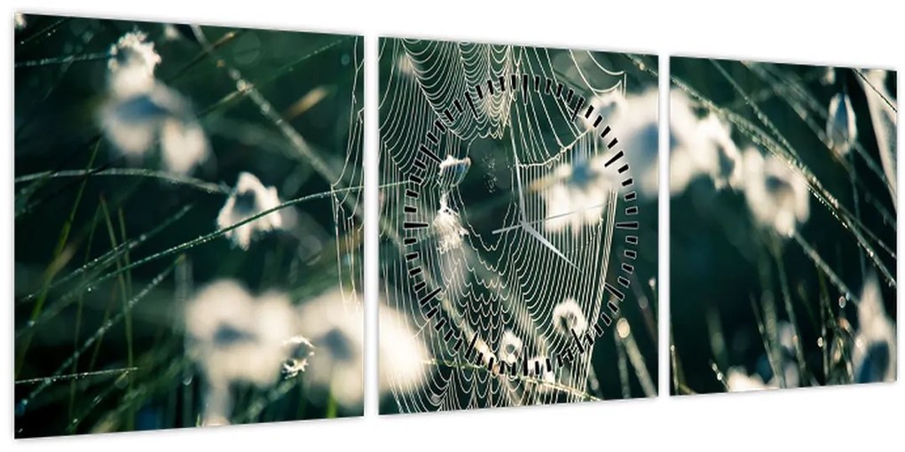 Kép - Pókháló (órával) (90x30 cm)
