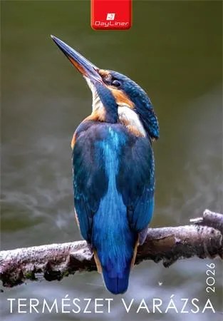 Naptár, fali, DAYLINER, Természet varázsa (NFATVB4U)