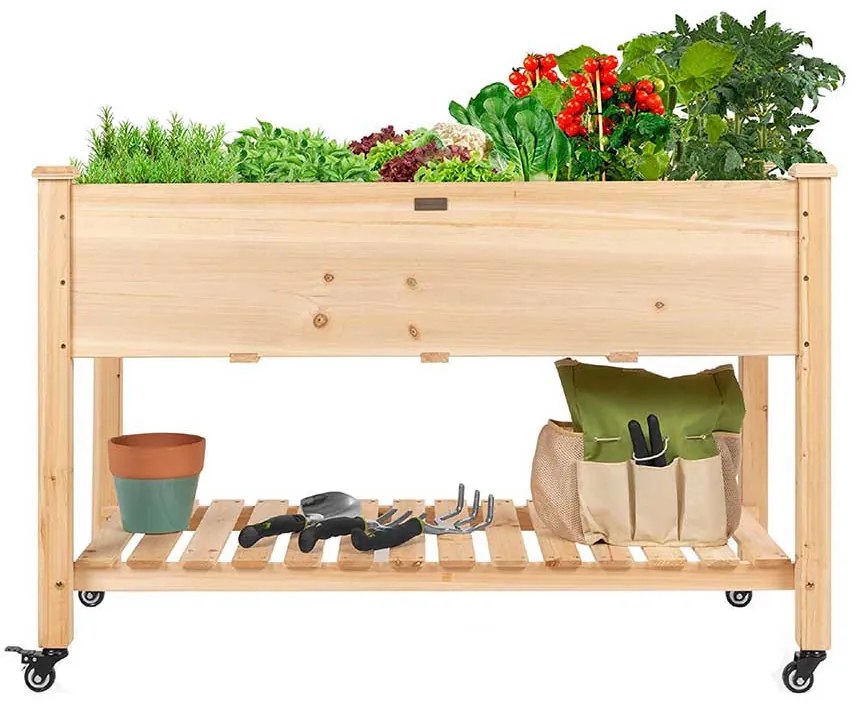 Guruló fa palántázó