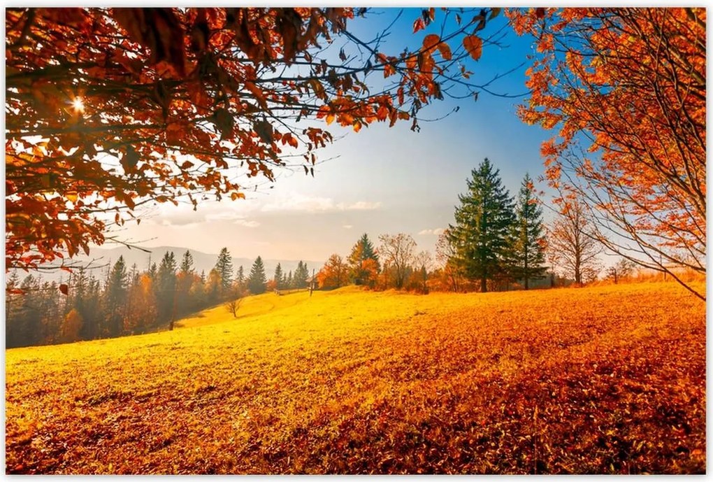 Poszterek 93x62 Őszi táj