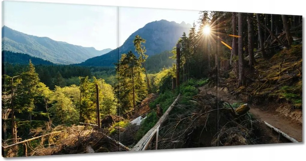 Vászonkép 120x60 Hegyek Napfény Erdő Ösvény
