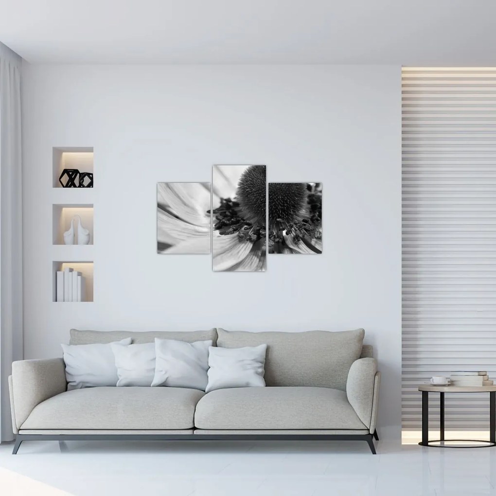 Kép - Virág fekete-fehérben (90x60 cm)