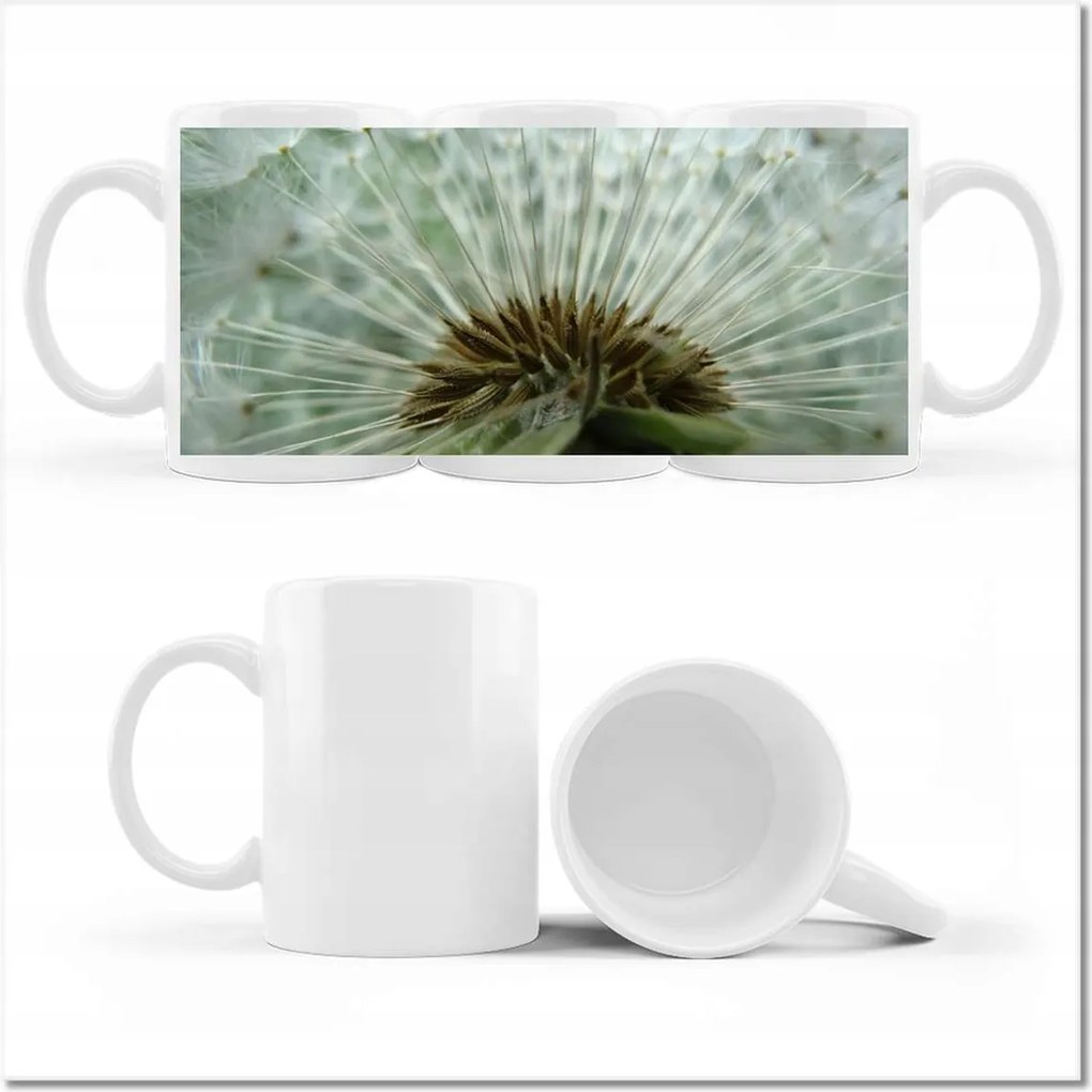 Pitypang fényképes bögre Virág Virágok