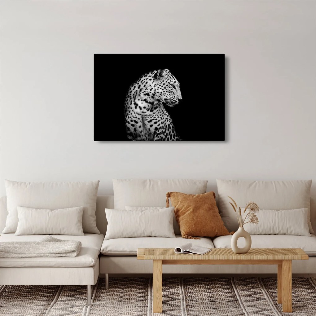 Kép - Leopárd (90x60 cm)