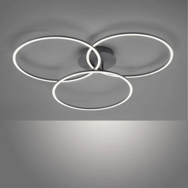 Leuchten Direkt 14539-18 - LED Dimmelhető lámpa IVANKA 3xLED/12W/230V