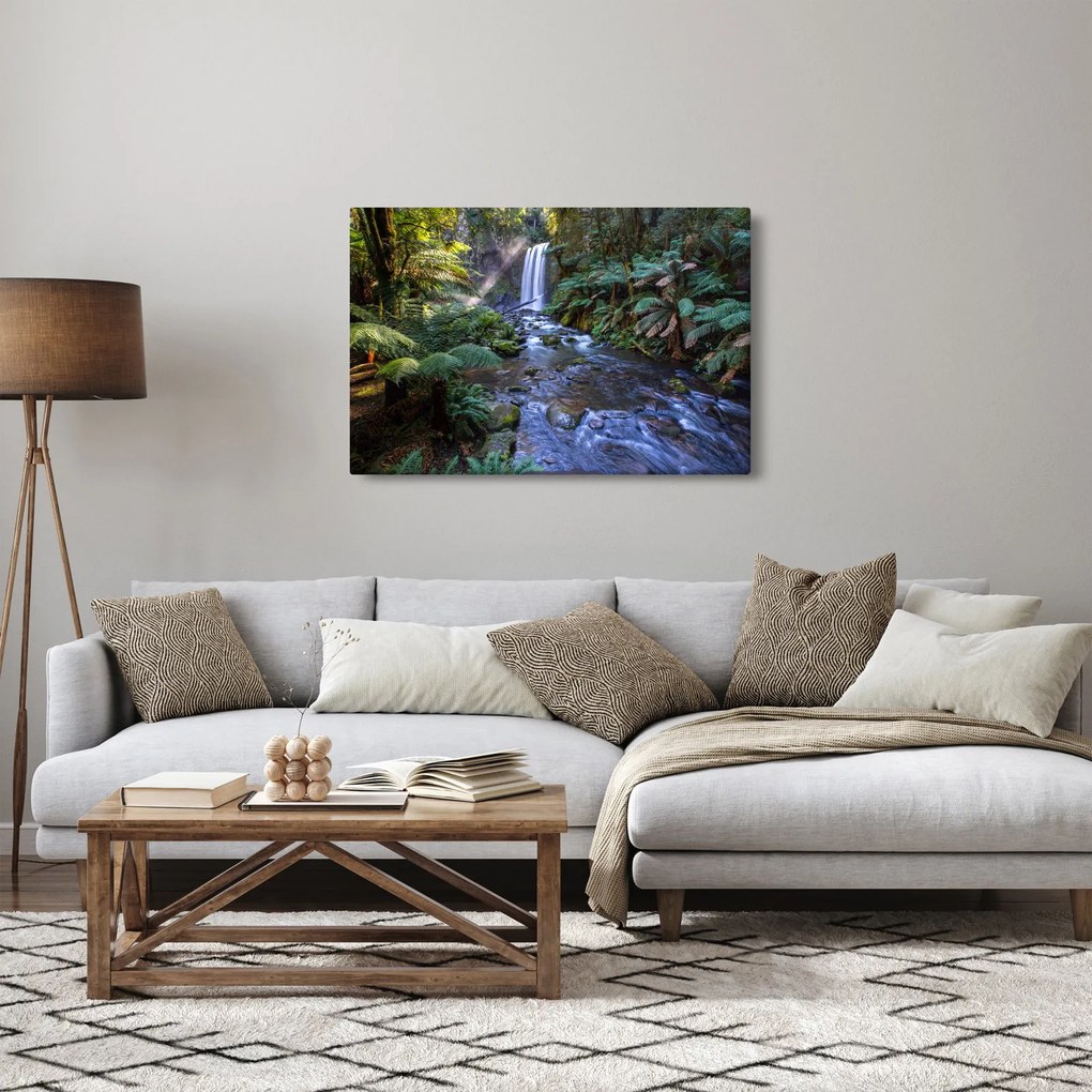Ausztrál esőerdő képe (90x60 cm)