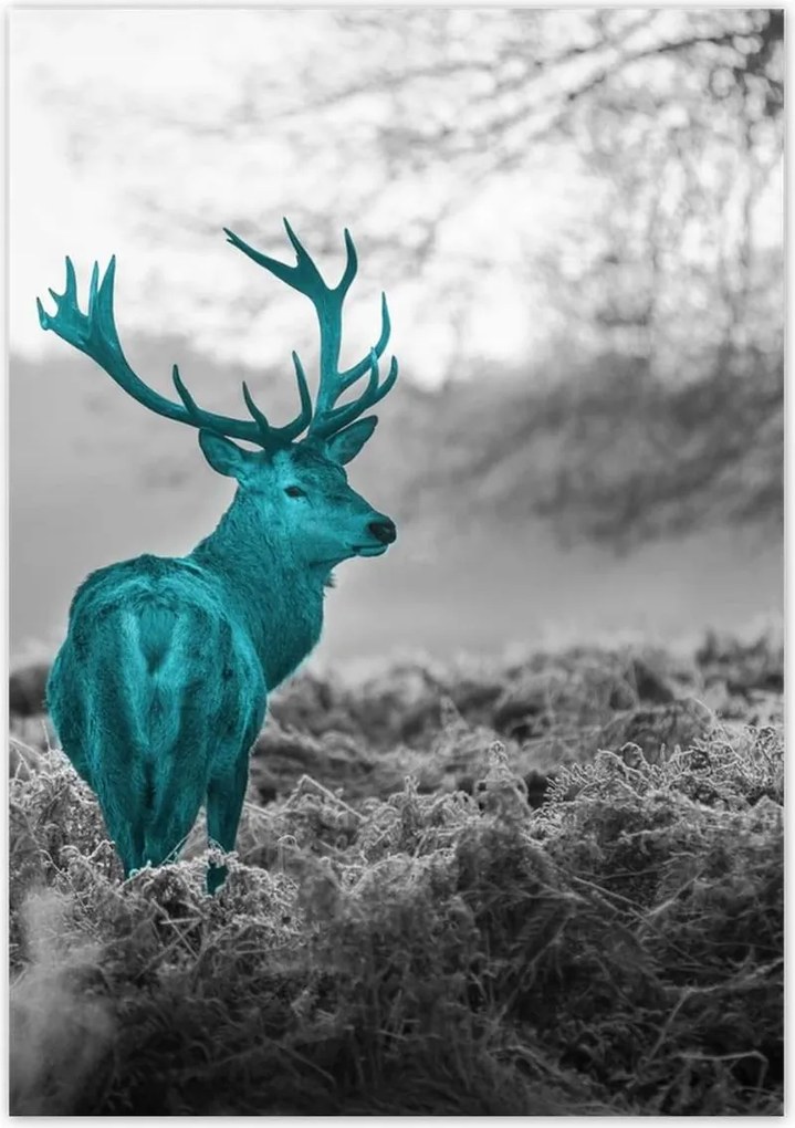 Poszter 70x100 Türkiz szarvas agancsokkal