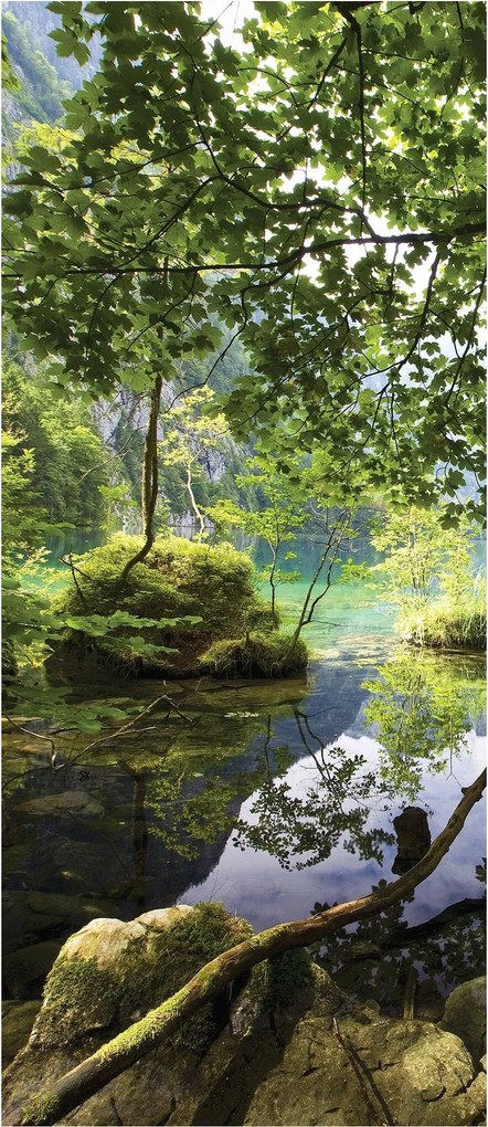 Matrica Fotótapéta Tó Erdő Hegyek Fa Zöld Moha 91x211