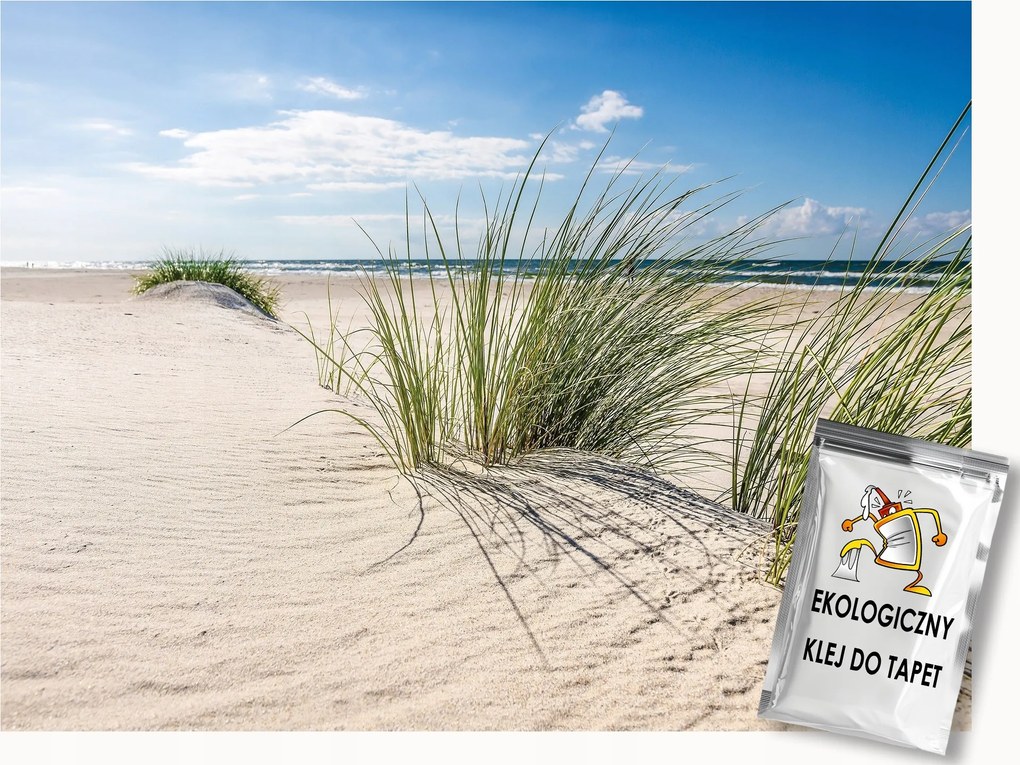 Fotótapéta Flizelina Kilátás Tengerpart Dűnék Kerekek Fű 300x210 ragasztó