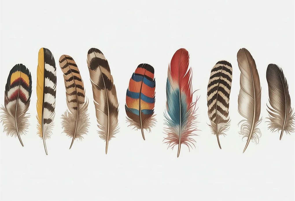 Fotótapéta Dekoratív Fali Tapéta Képek Színes tollak 152x104