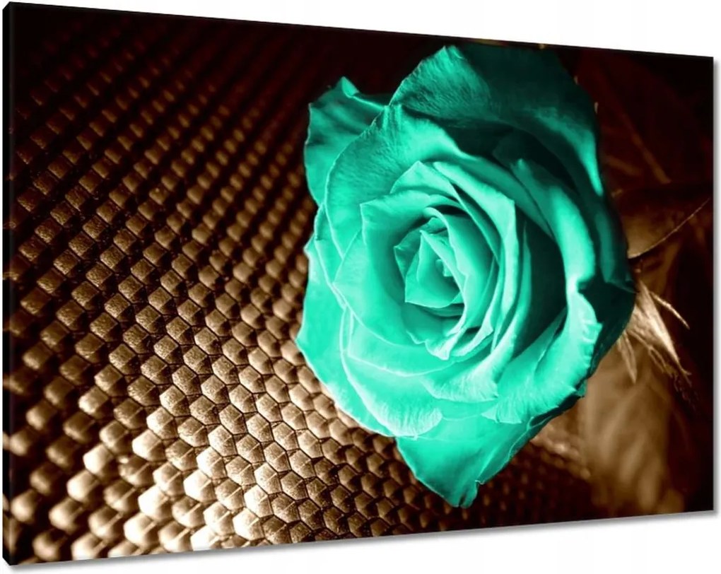 Vászonkép 100x70 Türkiz rózsa szépia