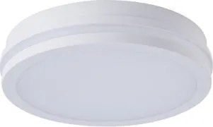 Brilagi - LED kültéri mennyezeti lámpatest BENE LED/24W/230V átm. 26 cm fehér IP54