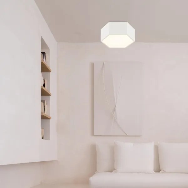 Argon 8781 - LED Mennyezeti lámpa LIBERO LED/12W/230V 3000K fehér