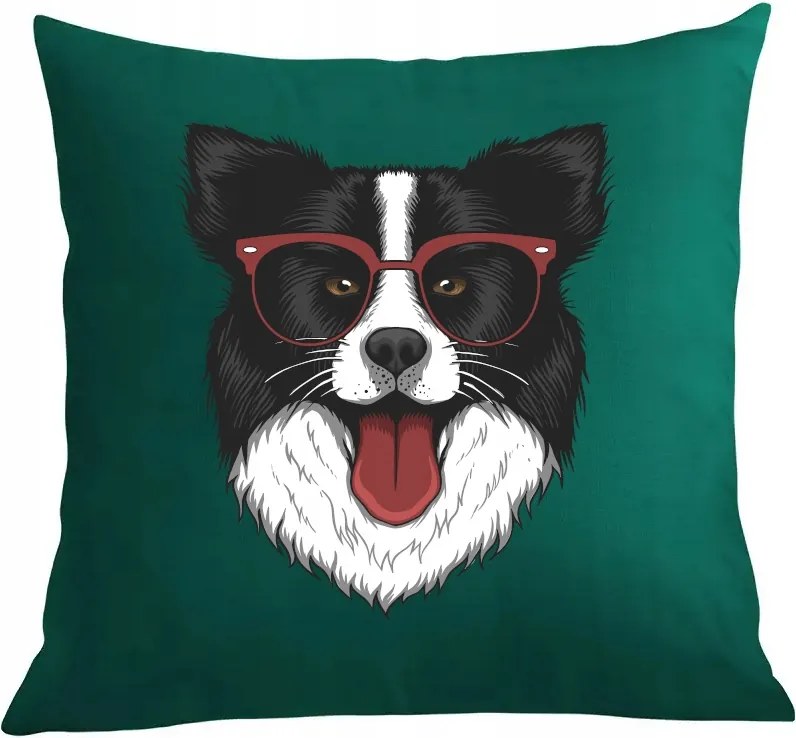 Párna párnahuzat Border Collie Kutya mintás