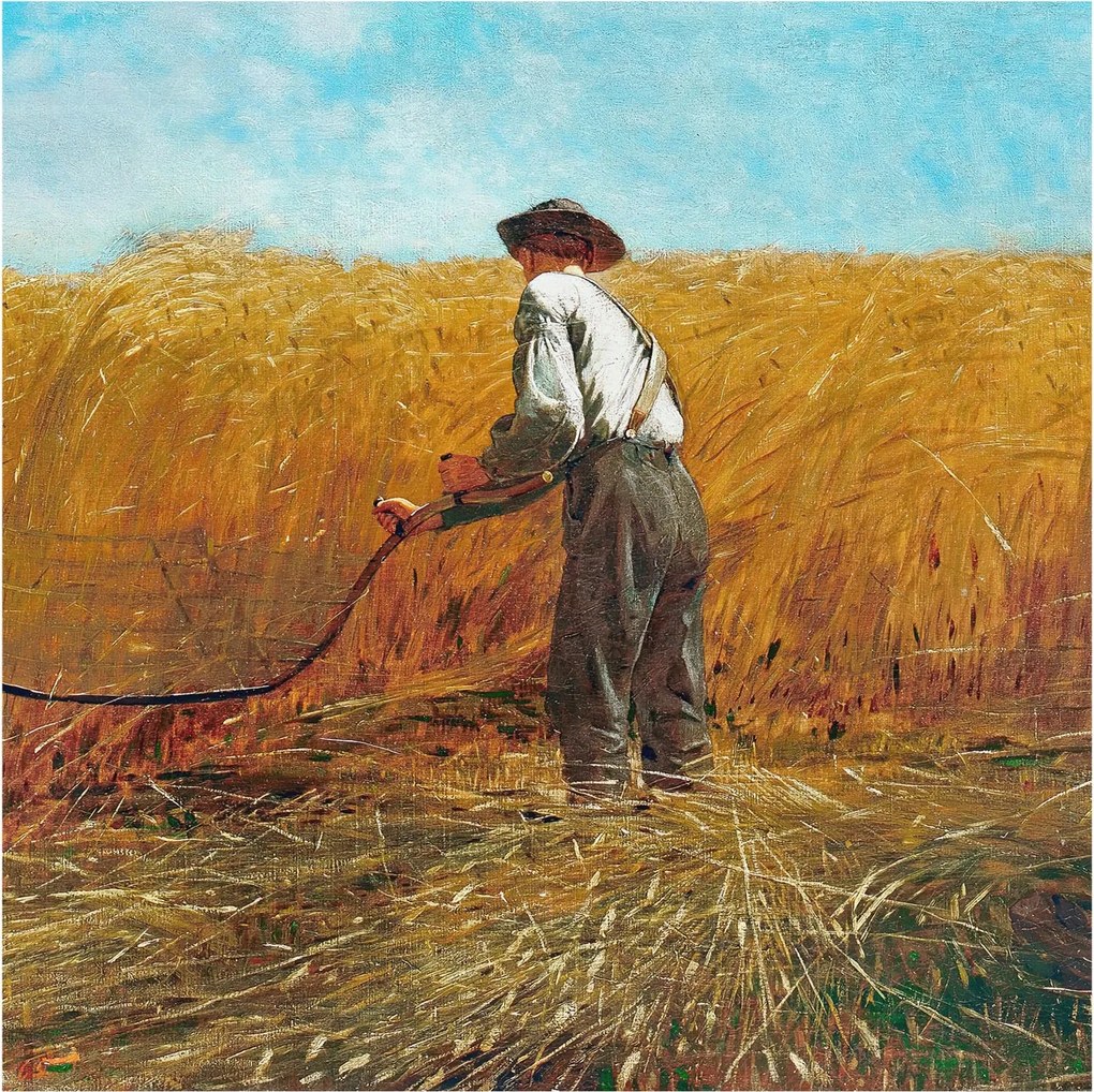 Flizelin fotótapéta Flizelin Design Aratás a napfényben 250x250