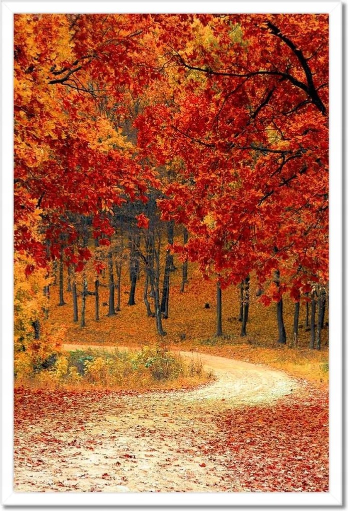 Poszterek keretben 40x60 Tájkép