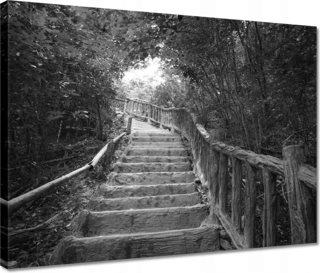 Vászonkép 40x30 Lépcsők a trópusokon