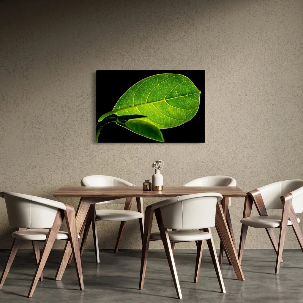 Kép - zöld levél (90x60 cm)