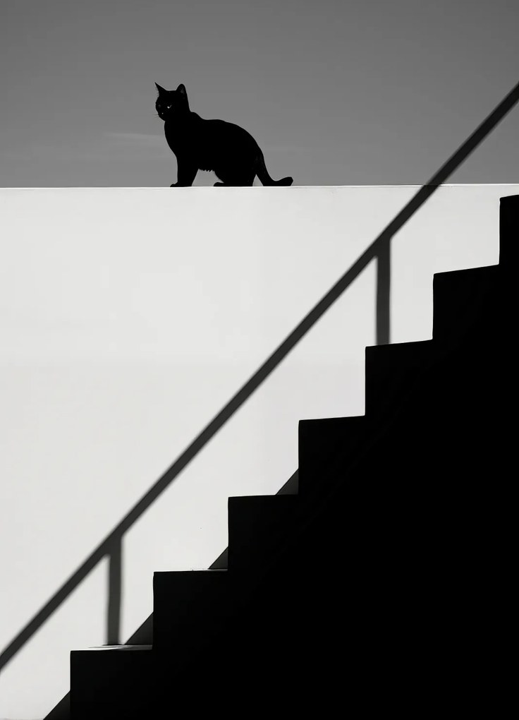 Poszter 20,5x28,4cm Sziluett és szimmetria