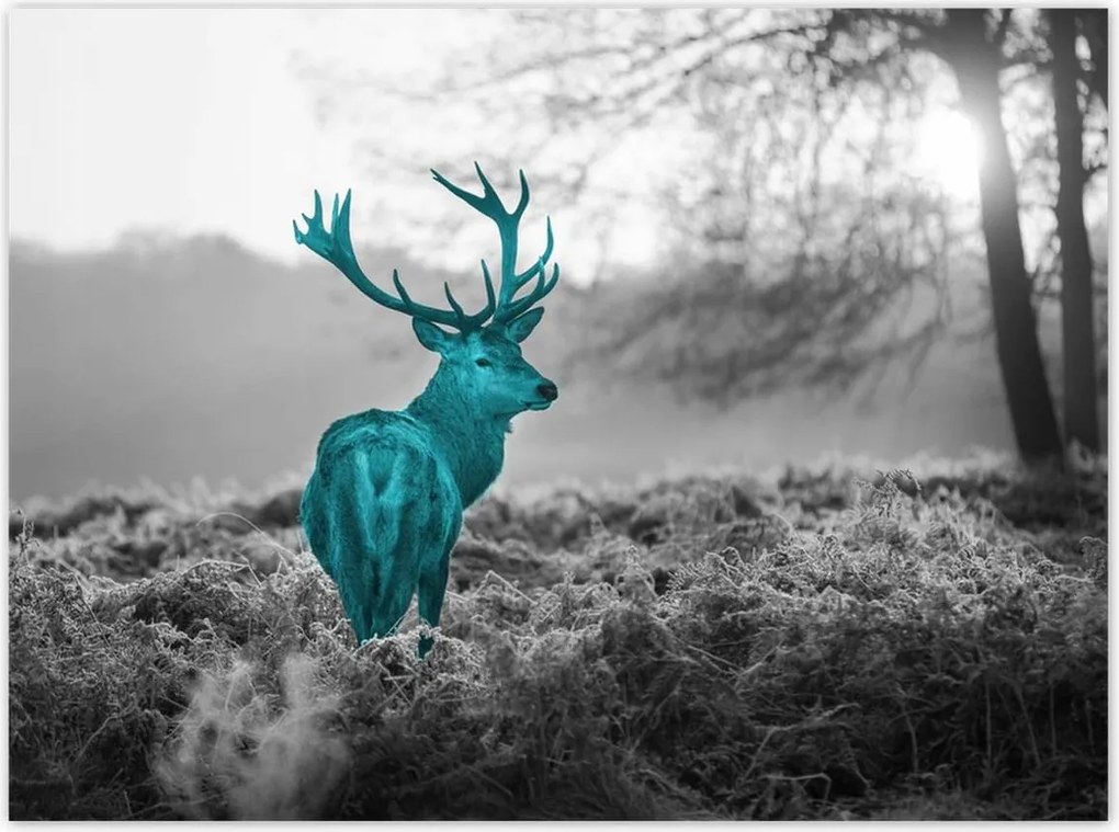 Poszterek 135x100 Türkiz szarvas agancsokkal