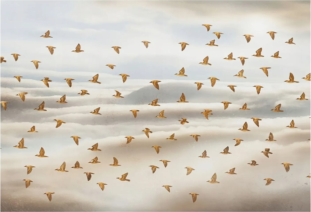 Divatos Flizelin Tapéta Ragasztóval Fali 3D Madarak Repülés 152x104 Ragasztó