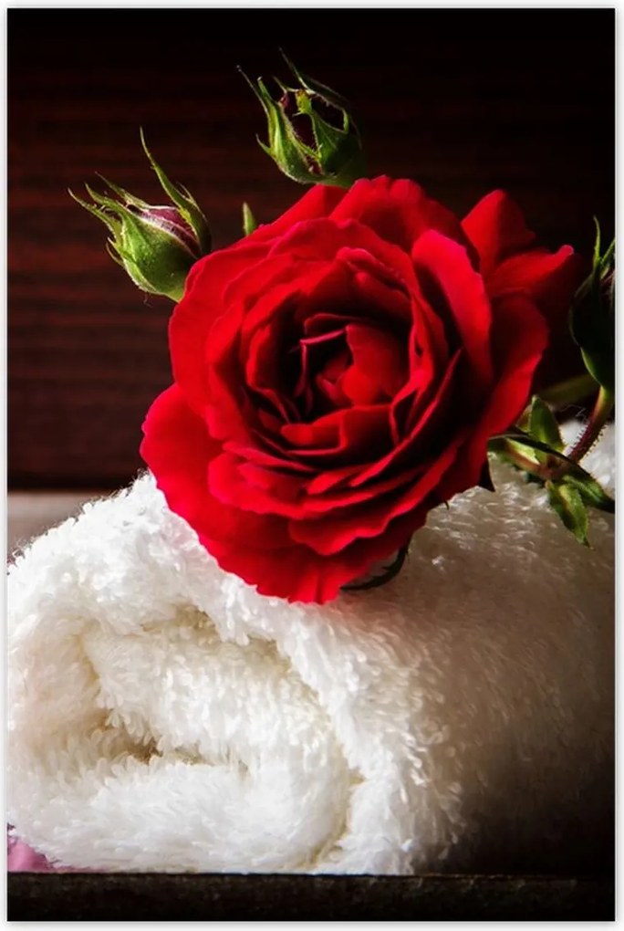 Poszterek 80x120 Spa Wellness Relaxáció Víz