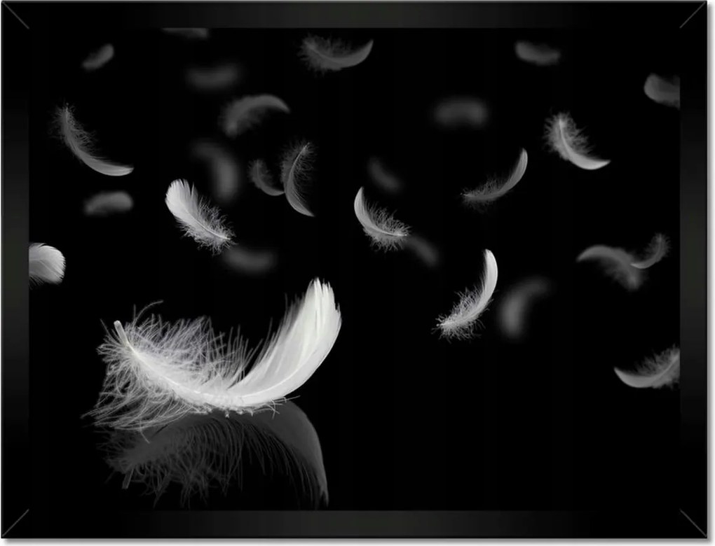 Poszterek keretben 40x30 Hulló fehér tollak
