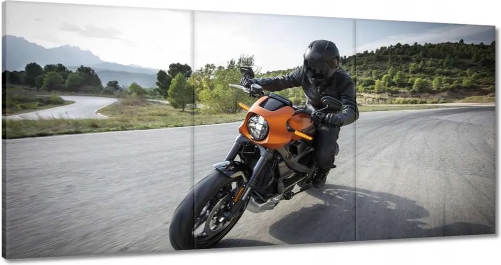 Képek 180x90 Harley Davidson Motorkerékpár