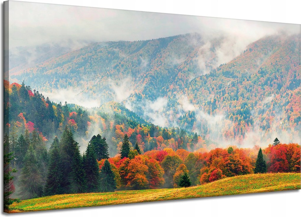 Vászonkép Hegy Erdők Rétek Felhők Természet 120x70 cm