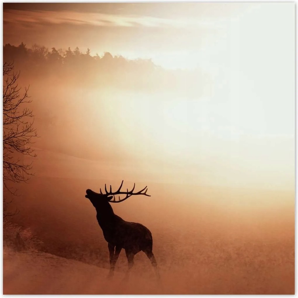 Poszterek 30x30 Szarvas az erdő szélén