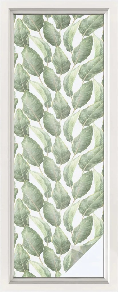 Furnérfólia Adatvédelem Szélvédőkhöz és Ablakokhoz Zöld levelek 50x146