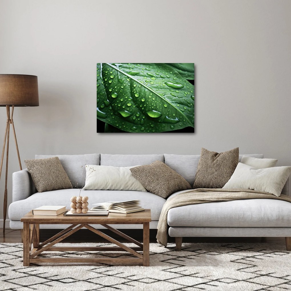 Kép - Részlet levél eső után (70x50 cm)