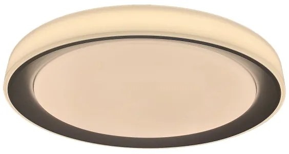 Rabalux 3510-LED RGB dimmelhető mennyezeti lámpa EVEREST LED/40W/230V Wi-Fi + távirányító