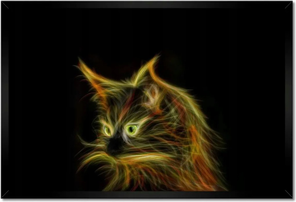 Poszter keretben 60x40 Földönkívüli macska