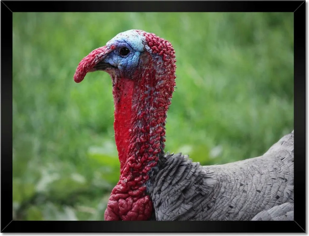 Poszterek keretben 40x30 Hálaadás