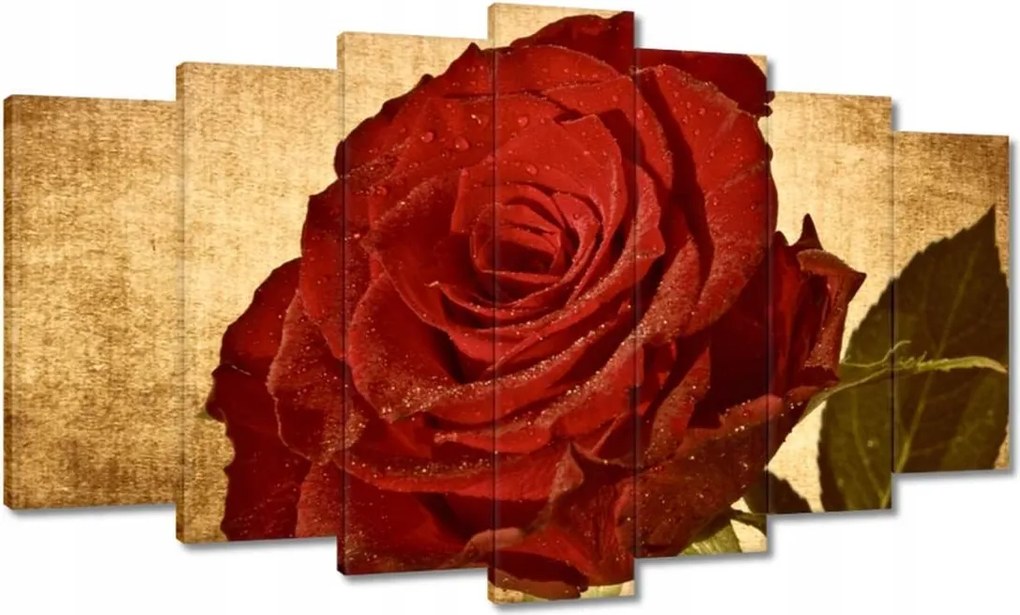 Vászonkép 140x80 Rózsa szépia háttérrel