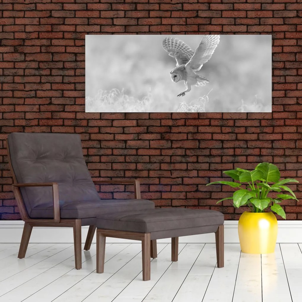 Kép - Bagoly a mezőn (120x50 cm)