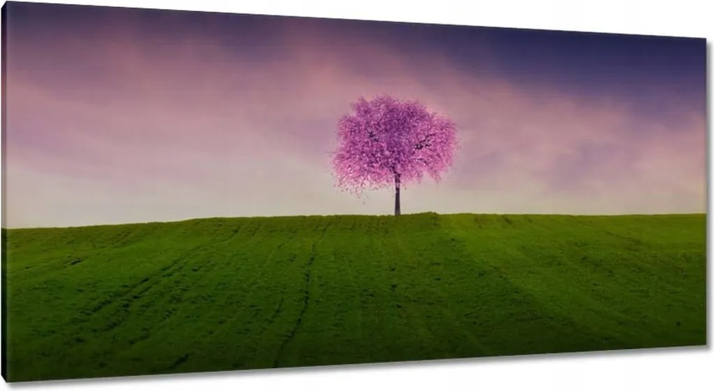 Vászonkép 115x55 Malackafa