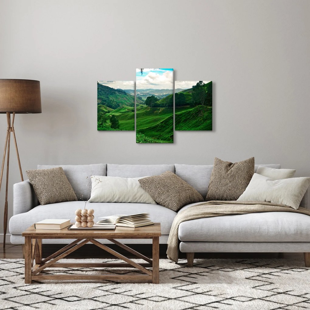 Kép - Teaültetvények Malajziában (90x60 cm)