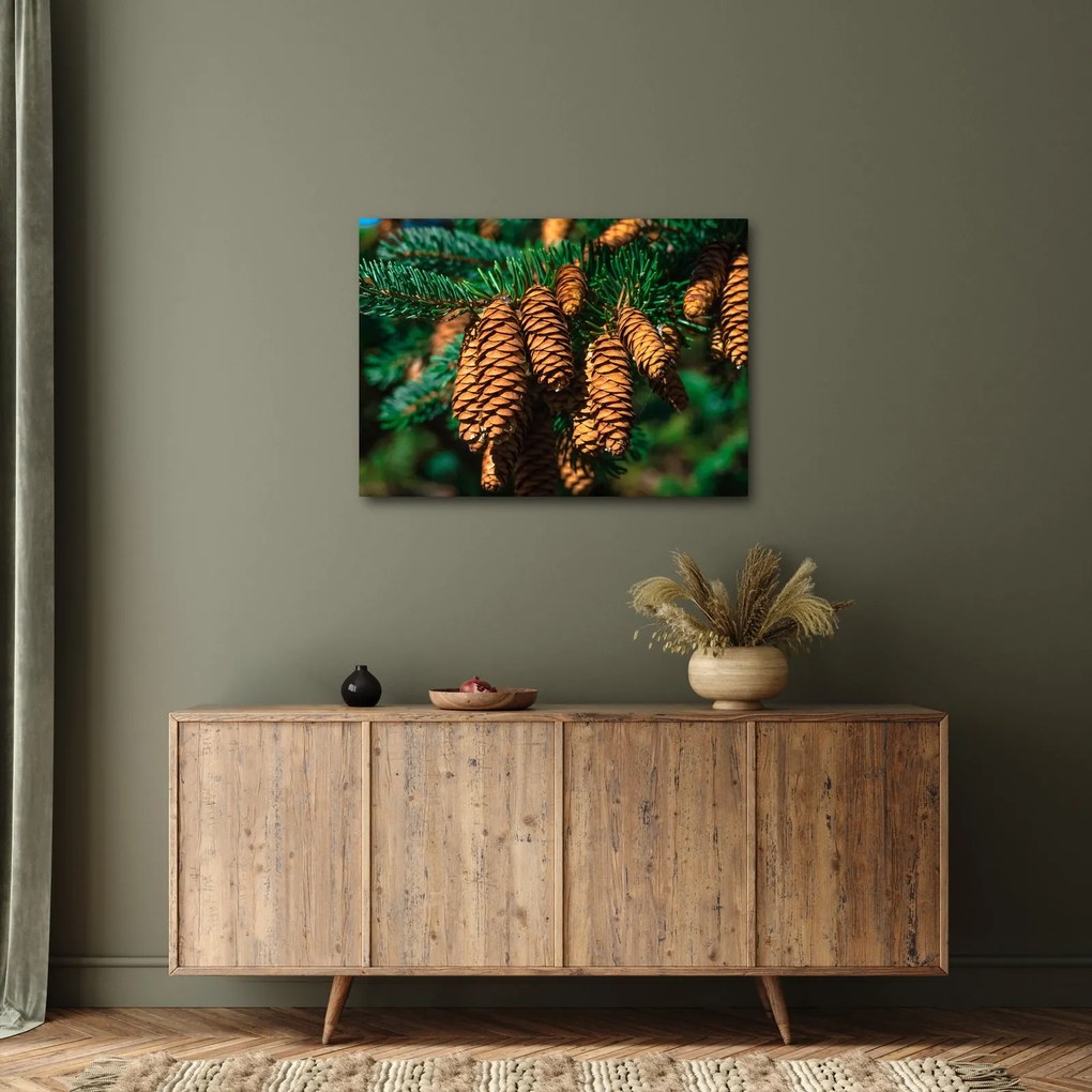 Fenyőtobozok képe (70x50 cm)