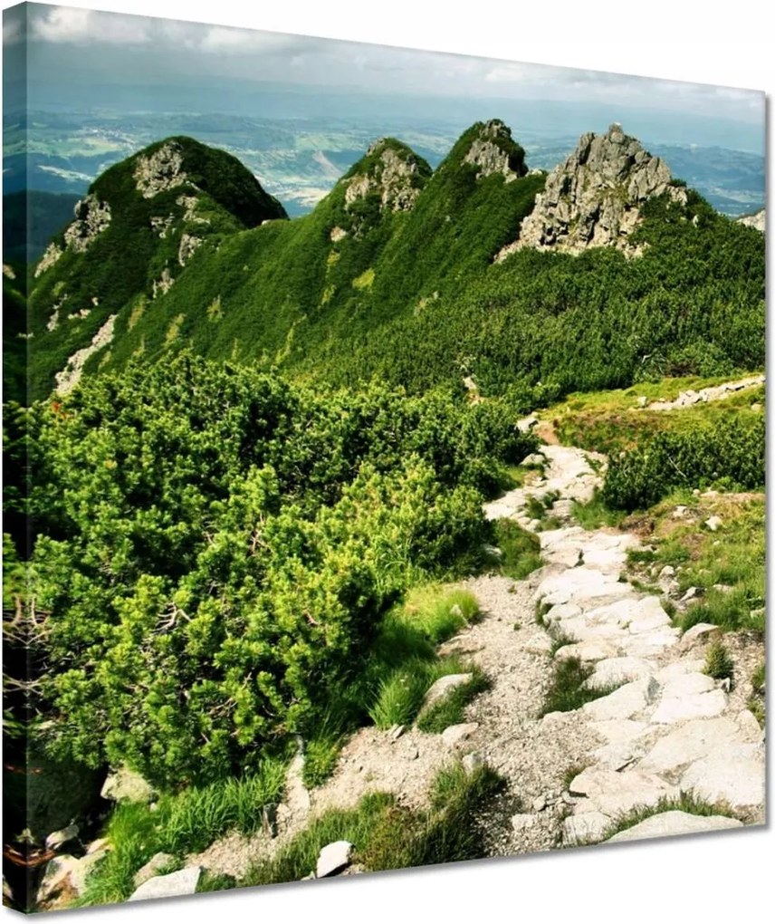 Vászonkép 30x30 Tátra Lengyel hegyek Kilátás