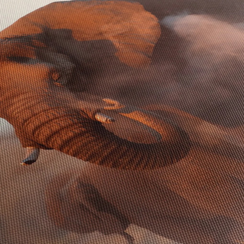 Kép - Nagy afrikai elefánt (150x105 cm)