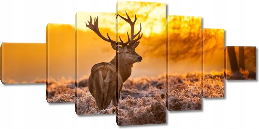 Vászonkép 200x100 Szarvas naplementekor