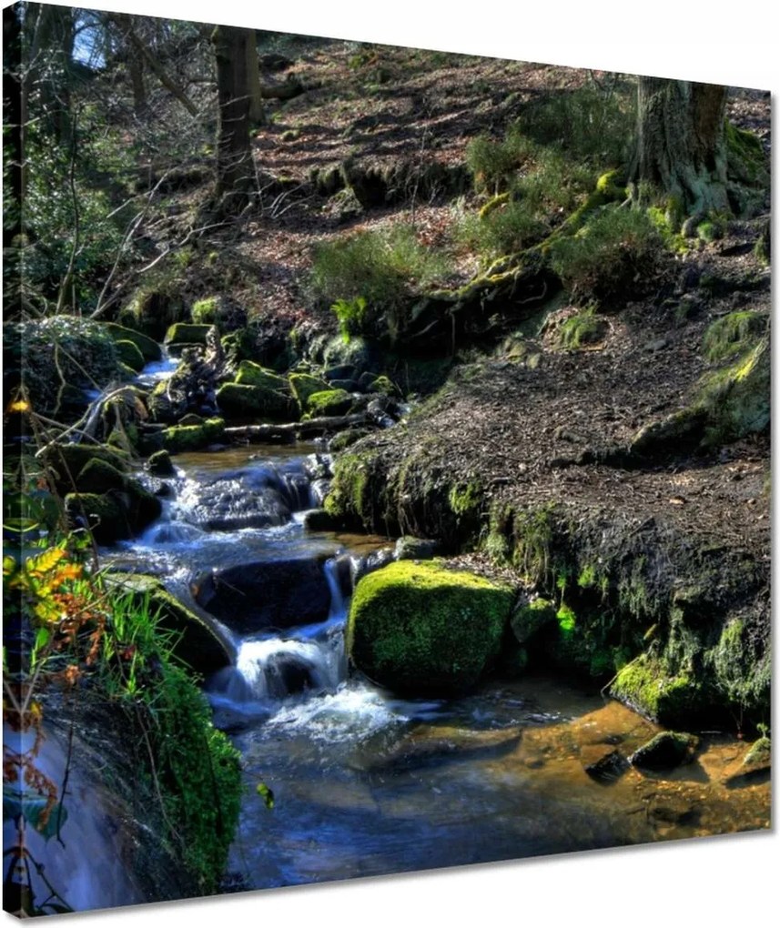 Vászonkép 40x40 Hegyi patak